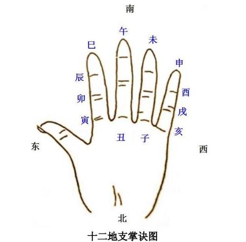 十二地支手掌图:手掌记十天干十二地支