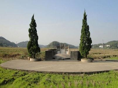 如何从坟地草看墓地好坏