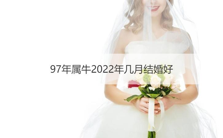属牛的适合几月结婚最好