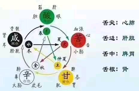 八字测命 乙丑日生于子时如何 无午字相冲品德温良淳厚