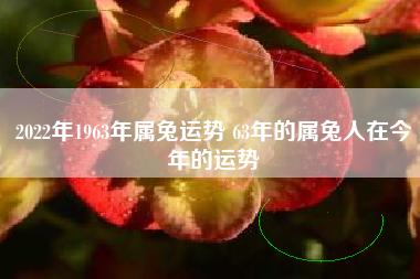 59岁1963年出生的属兔人2022年下半年运势如何