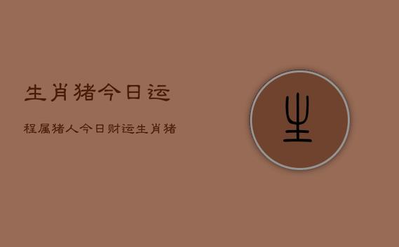 属猪今日运势财运
