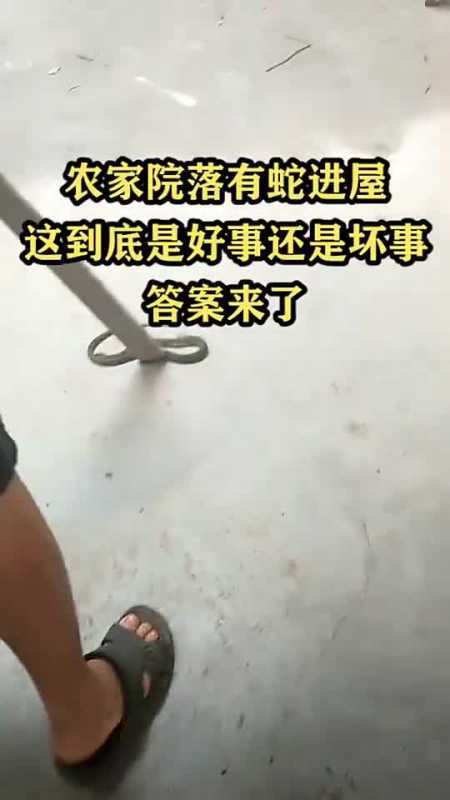 家里进四脚蛇是吉是凶