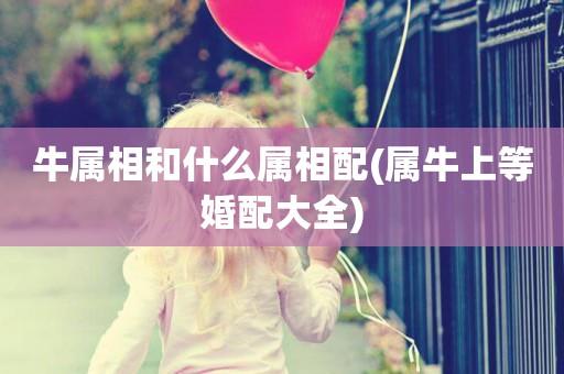 属牛的女人和什么属相最配