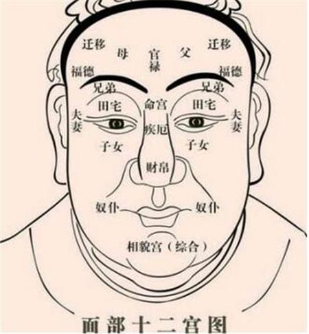 兄弟宫地空的联系