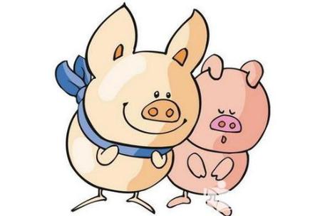 属猪女能为哪些男人付出一切