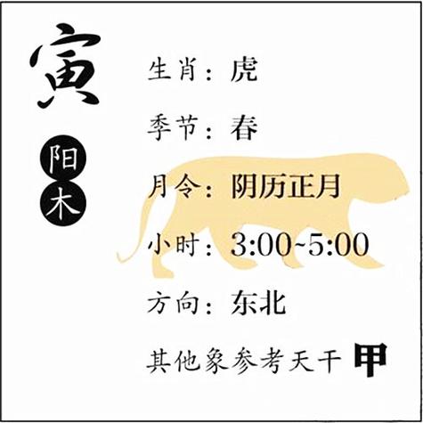 寅木是什么意思,寅木命理