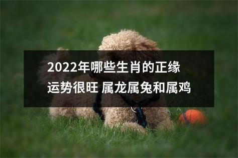 2月有正缘的生肖2022年