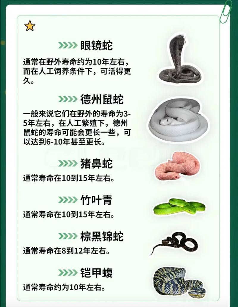 蛇能活多少年呀