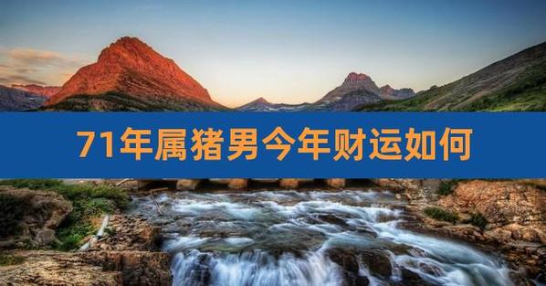 属猪男人2022年1月财富运程预测