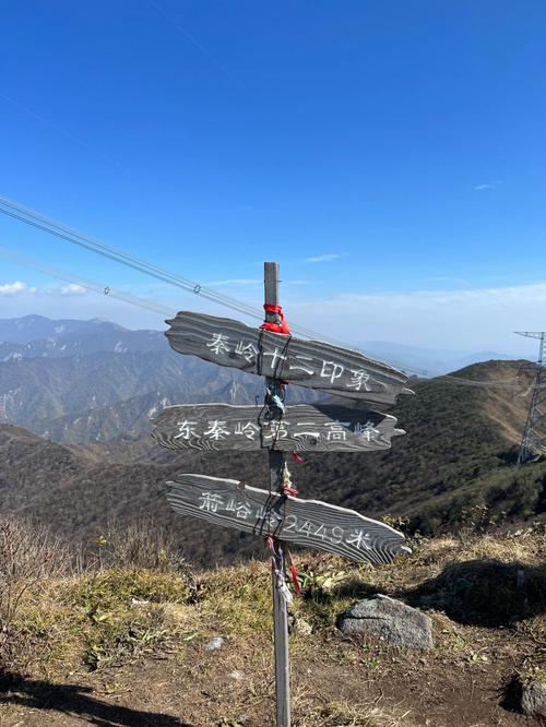 梦见儿子爬山预示着什么?