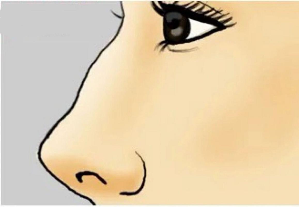 鼻梁有节代表什么