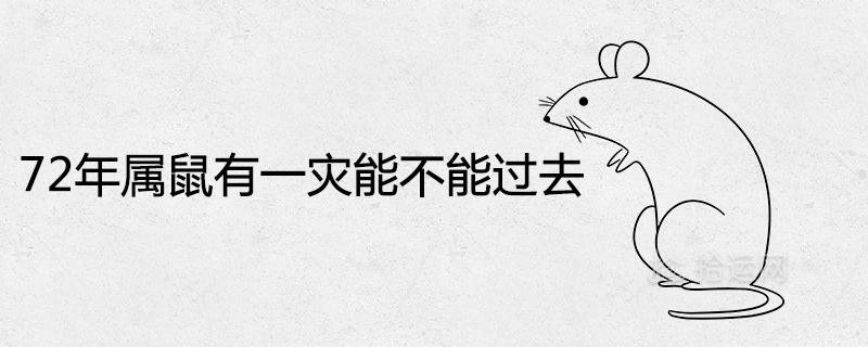 72年属鼠有一灾能不能过去