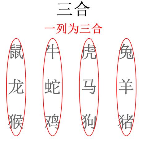 国庆节出生的生肖狗什么命,好命还是歹命
