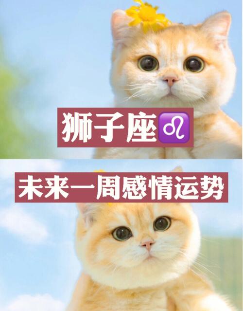 属鸡女和属狗男结婚会离婚吗?属鸡狮子座性格如何?