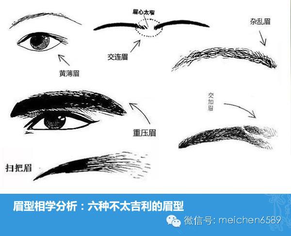 交连眉面相图解