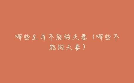 哪两个生肖不能做夫妻
