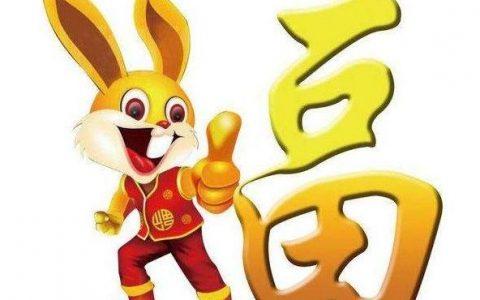 生肖兔男人在哪些方面有责任的表现