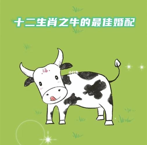 生肖牛的最佳婚配对象