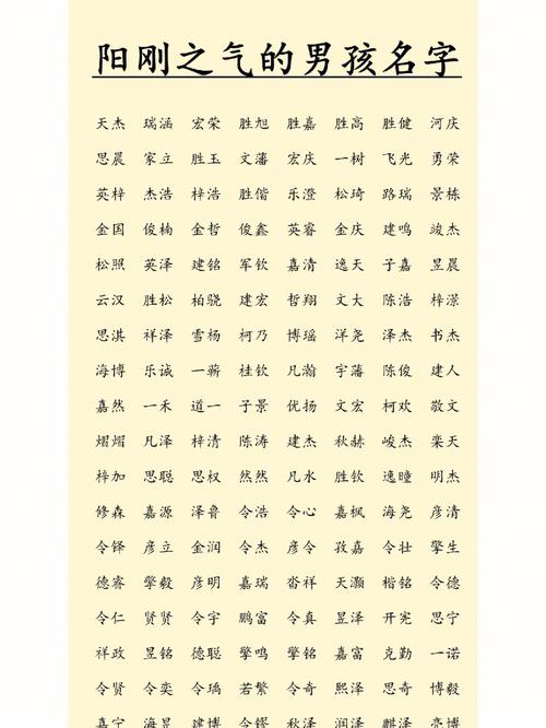 带启字的男孩名字