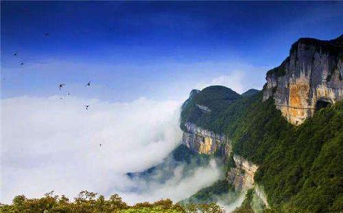 属猴会是一道怎样的亮丽风景