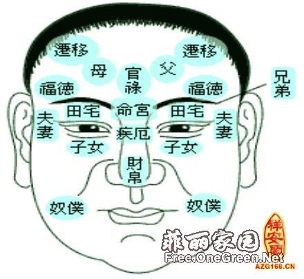 从面相看你能成大老总还是小老板