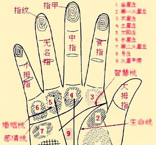 九个簸箕一个斗的男人是什么命
