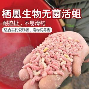 梦见鱼长蛆是什么意思