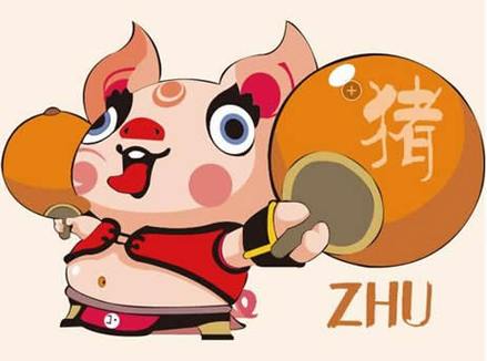 2019属什么