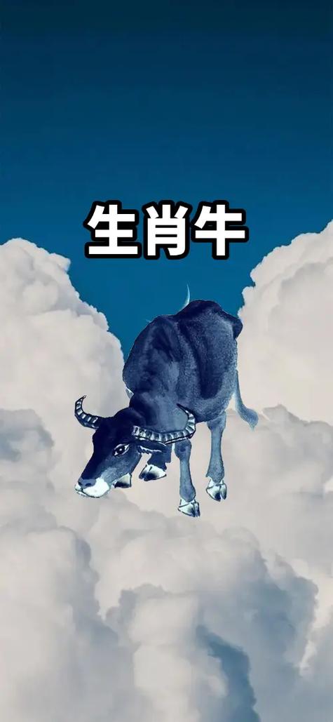 生肖牛的为什么不会与最爱的人结婚?