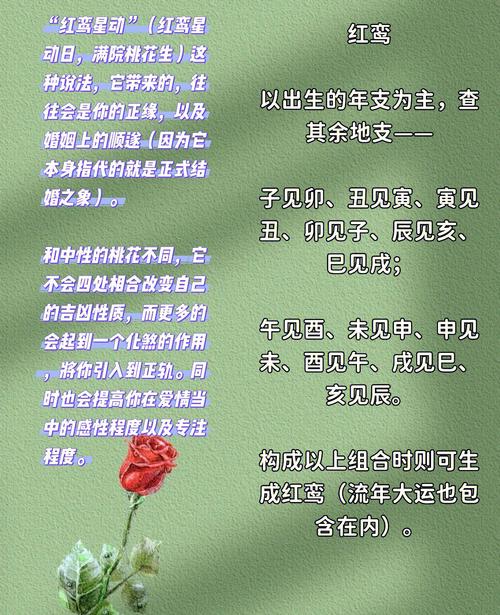 桃花子午卯酉之酉鸡