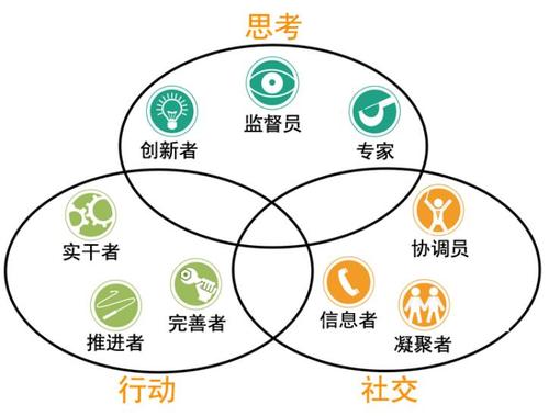 测测你在团队中的角色