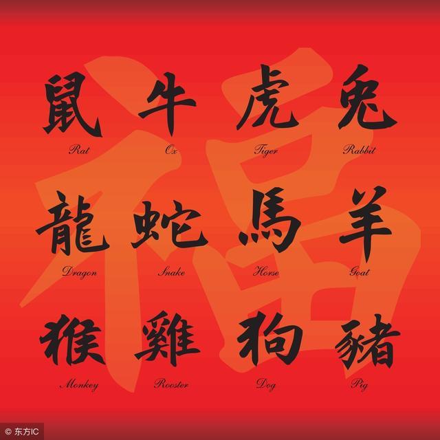 寅时出生的生肖猪的命运好不好?