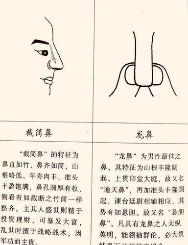鼻子看相:剑峰鼻预示着什么?