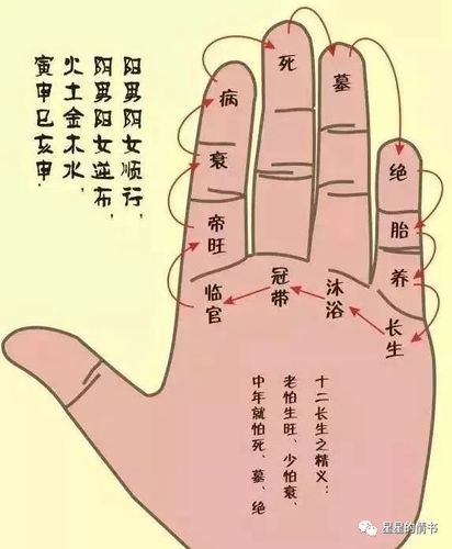 官星是指天干还是地支