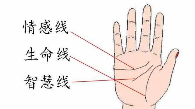容易失恋的男人手相