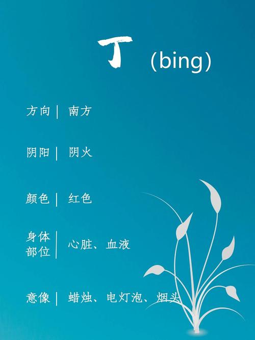 丁火命的人有什么性格特征,丁火是什么意象?