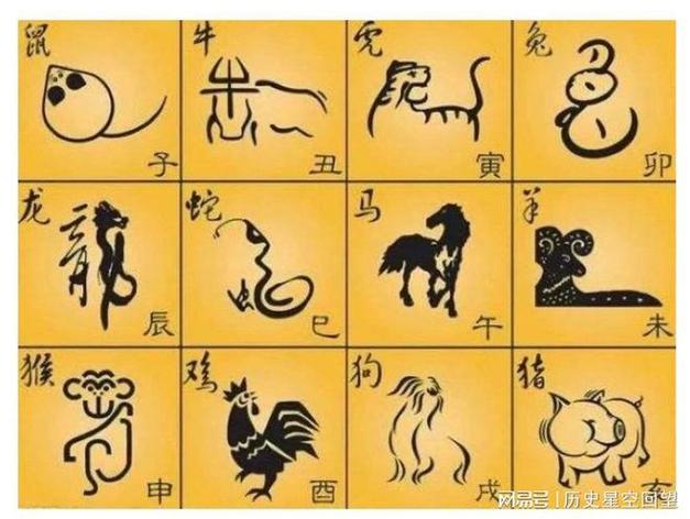 无论什么场合这些生肖最在意气质
