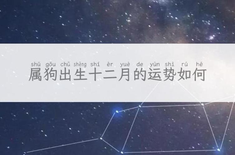 属狗人十二月运势如何
