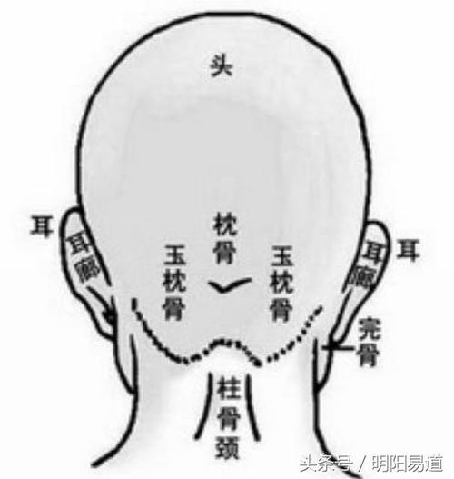 脑后枕骨丰满的人是长寿面相