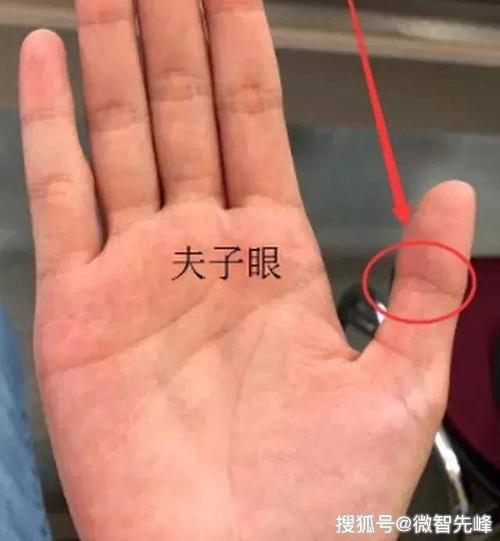 食指有夫子眼代表什么