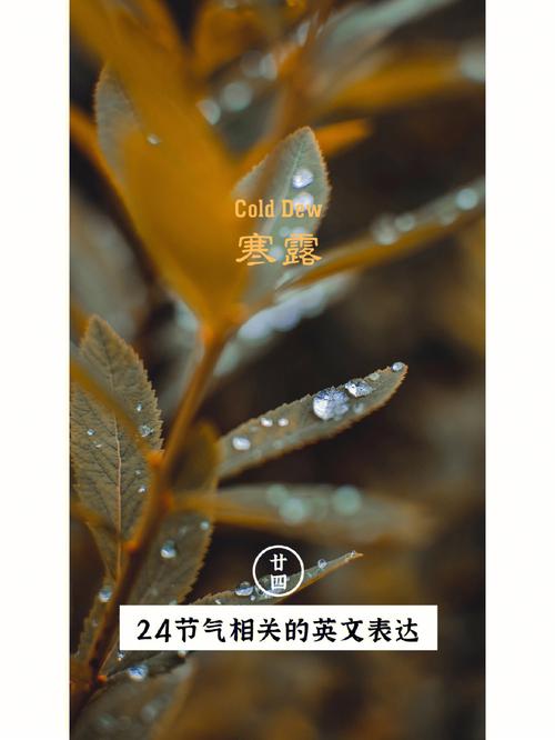 霜降在立冬前还是立冬后?2020年霜降当天可以结婚不?