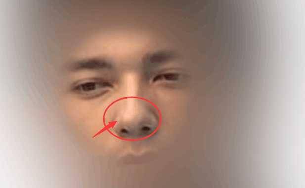 性格与命运 鼻头有肉的男人