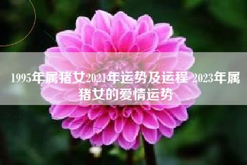 属猪女今年的感情运势2021