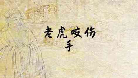 梦见老虎咬我手