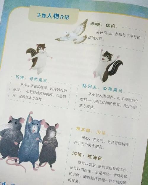 给生肖鼠受益一生的建议