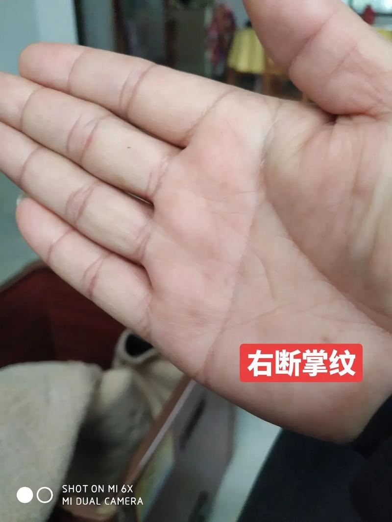 有断掌纹的人优缺点分析