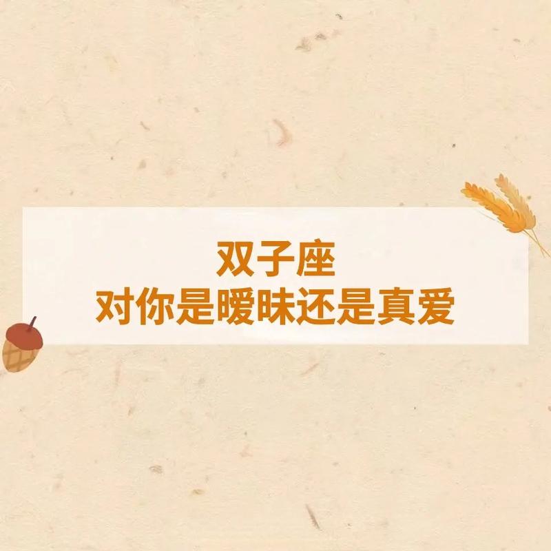 双子座付出什么才能获得真爱