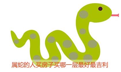 属蛇对买婚房有什么看法
