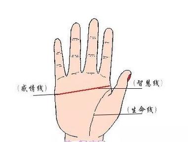 断掌纹的男人手相图解,断掌纹的男人好不好